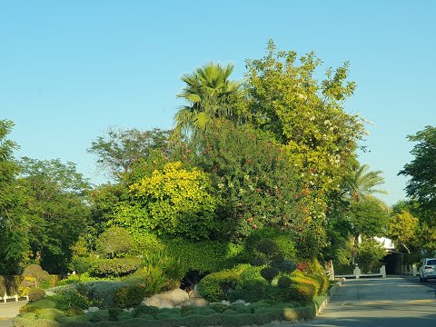 صورة مصغرة لفيديو العقار