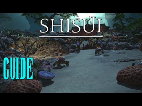 ⚔️ Shisui 🏹 Tank-POV // Stormblood - Dungeon Guide // Neulings Guide FFXIV