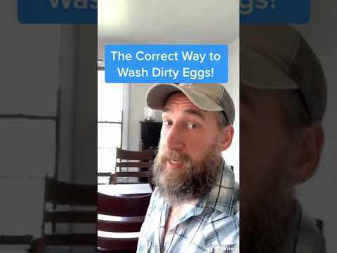 The correct way to wash dirty eggs!