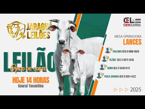 www.canalleiloes.com | LEILÃO GADO DE CORTE JARAGUÁ LEILÕES |  GUARAÍ-TO 20/02/2026