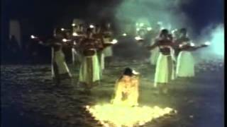 shamitabh sannata song mix with johny