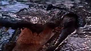 The Monkees - "The Spy Who Came in From the Cool" - "St. Matthew" (romp edit)