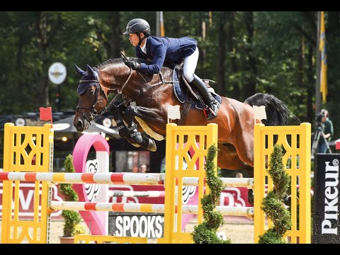 Contino Quick PS - Stallion Collection Schockemoehle 2021 ENG