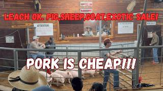 I went to the Leach Oklahoma Pig (and other Livestock) Auction! What did I learn