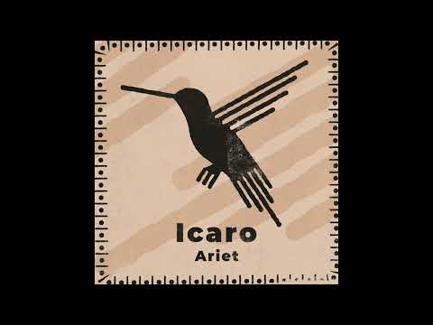 Indefinite Pitch PREMIERES. Ariet - Plant's Wisdom [Psylocybina]