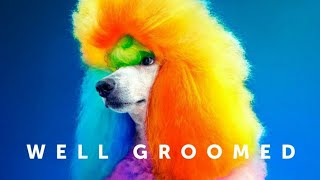 Well Groomed (2019) | Trailer HD | SXSW | Creative Dog Grooming | Documentary Movie