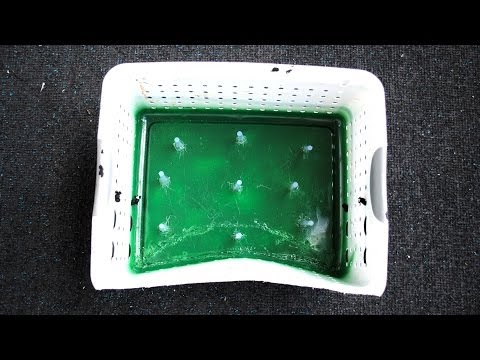 DIY - Como hacer un Stripping Basket muy Barato