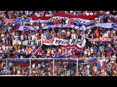 "LBDP vs river - PORQUE ESTE AÑO LA LIBERTADORES TENES QUE GANAR" Barra: La Banda del Parque • Club: Nacional