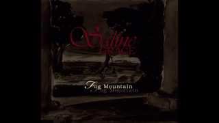 SALINE GRACE - THE TRAPS OF TIME