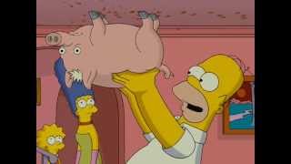 Spider-Pig - The Simpsons