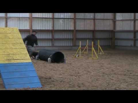 Winterturnier Berlin 09/10 1.Lauf am 08.11.09