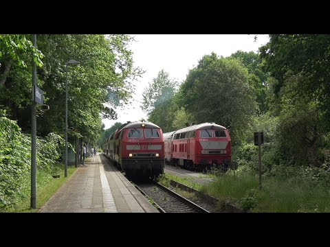 BR 218 unterwegs auf der Vogelfluglinie 2022 / Teil 1 - 4K