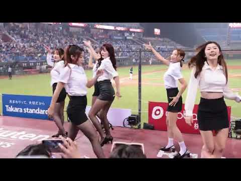 不得了了 黑絲襪黑窄裙加白襯衫 中場舞 楽天ガールズ 치어리더 台湾チアリーダ