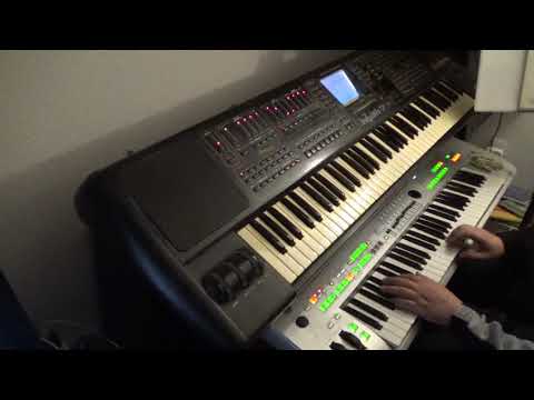 That Doggie in the Window - vovsen i vinduet - tyros 3 og keybits 7