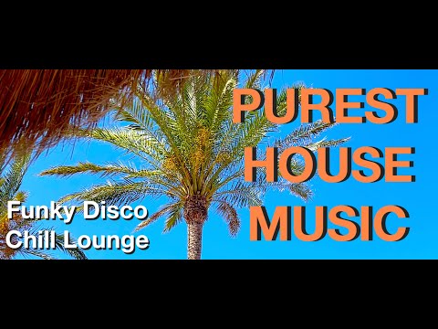 Funky Disco House Music Mix  2026 I Beach Vibes Soulful I Chill Lounge I Remix DJ Set