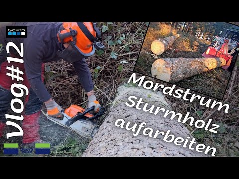 Vlog #12 Schweres Sturmholz aufarbeiten und Rücken / Deutz Waldarbeit Sound
