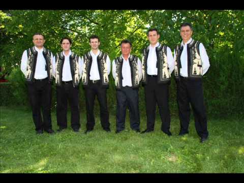 Formatia Profesional Fara tine,fara tine/cover/