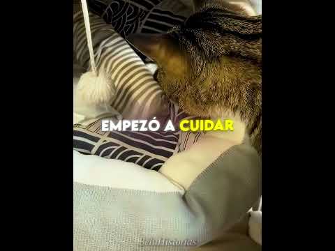 Esta Perra Abandonó a su Bebé 😭🐕