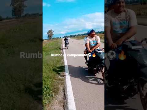 Rumbo a la tigra, Chaco #shorts #shortsviral