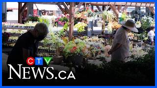 Montreal garden centres and markets struggling with soaring fuel costs