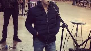 Crecer German - Perro De Cadena