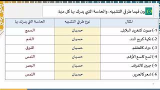 دروس البلاغة (73) (تدريبات على التشبيه) image