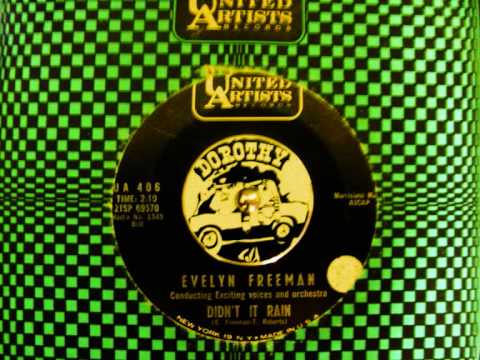 Evelyn Freeman - Didn't It Rain