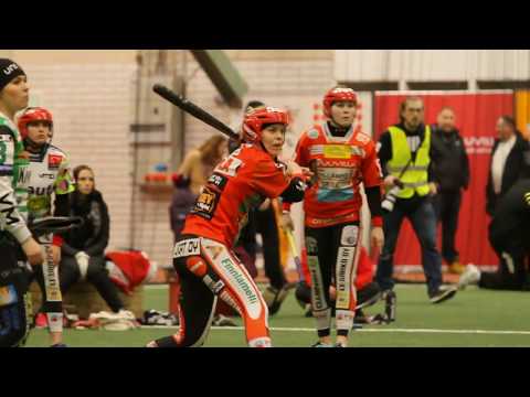 Ottelukooste: Lappajärven Veikot - Pesäkarhut 24.2.2017