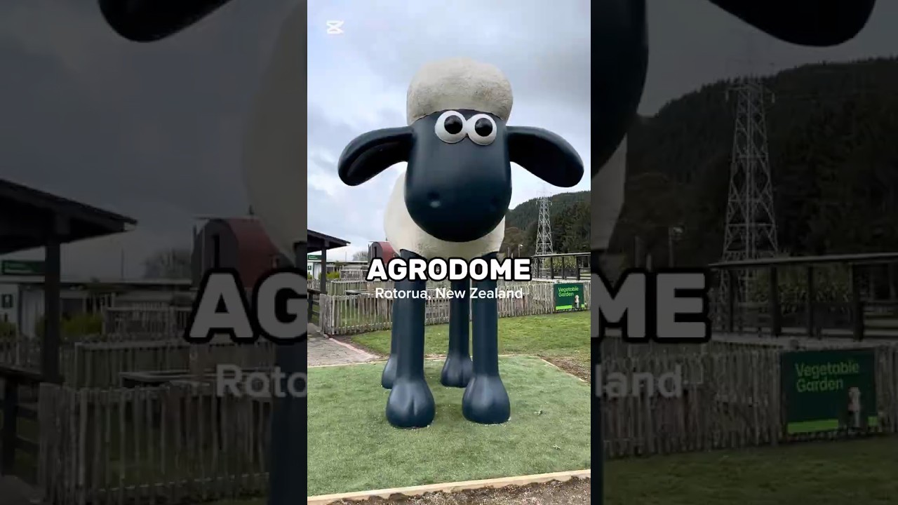 YouTube Short thumbnail