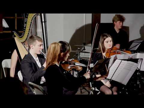 Andrius Šiurys „Menulio skrydis“