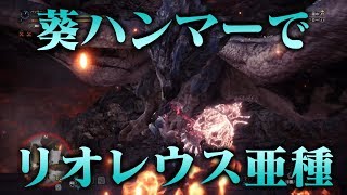 【MHWI】ハンマーでMRリオレウス亜種【琴葉葵実況プレイ】