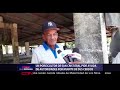 Un porcicultor de San Cristóbal pide ayuda de autoridades por muerte de sus cerdos