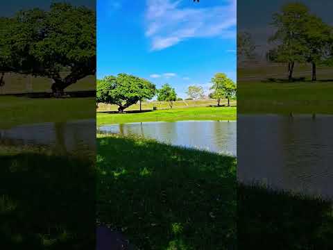 Espelho d'água em Paranaiba/ MS,  Estado do Pantanal