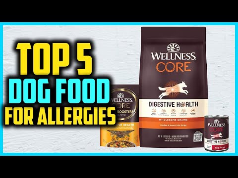 Top 5 Best Dog Foods for Allergies of 2024