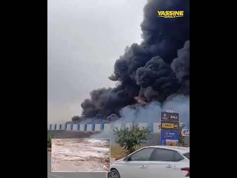 الحرائق بالجزائر تكشف نفاق النظام العسكري واستغلاله للكوارث الطبيعية  بالمغرب لاغراض سياسية