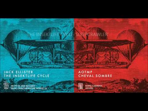Jack Ellister + The Insektlife Cycle - excerpts from fruits de Mer Records/Static Caravan single