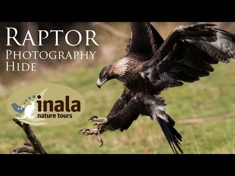 Inala Nature Tours