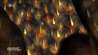 Leschs Kosmos Abenteuer Forschung - Verkehrte Welt - Magnetfeld der Erde