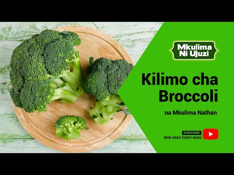 , title : 'Mkulima ni Ujuzi - Kilimo cha Mboga ya Broccoli'