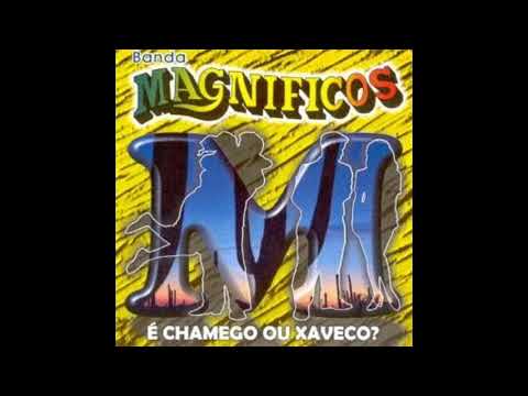 Banda Magníficos - Metade da Metade