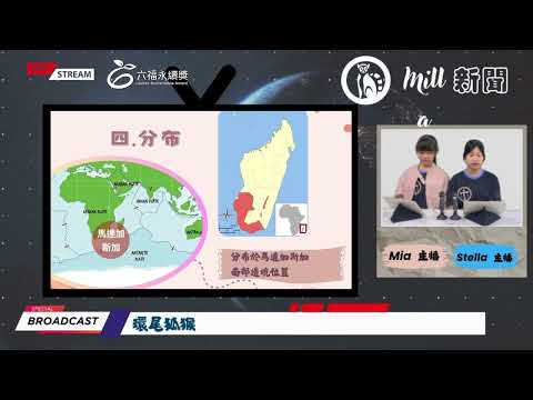 國小高年級中文組 潛力獎 -2025六福永續獎: 最佳人氣影片