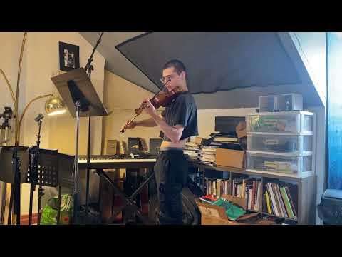 4/4 violin intermediate 2000-2015 Bild 12