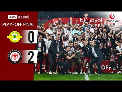 bg-highlight