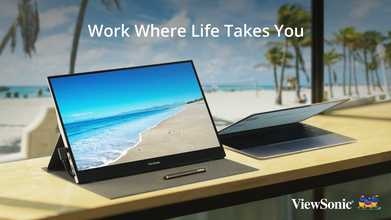 ViewSonic Portable Monitor