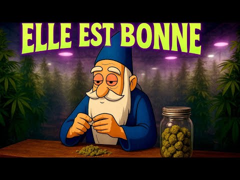 TSV - Elle est bonne (Clip Officiel)