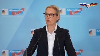 Алис Вайдель: С учётом уровня коррупции в Украине становится страшно за наши деньги