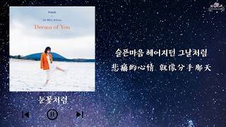 【韓繁中字】Punch ( 펀치 ) - Like A Snow Flower ( 像雪花般 / 눈꽃처럼 )