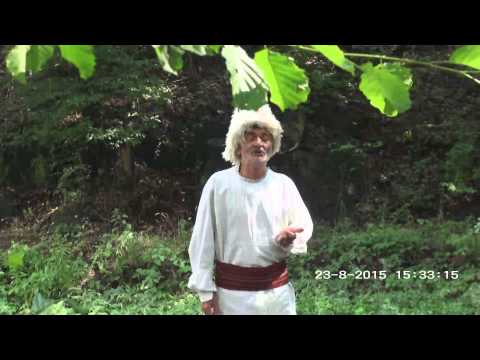 DANI BRESTOVAČKE BANJE - Venji dajka - Ljubisav Adamović  202