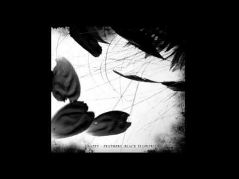 Apey - Feathers, Black Flowers 2010 (FULL ALBUM)