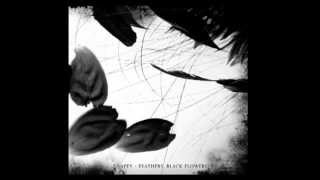 Apey - Feathers, Black Flowers 2010 (FULL ALBUM)